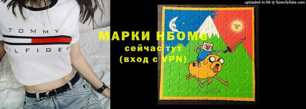 СК Алексин