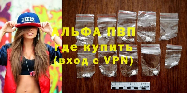 СК Алексин