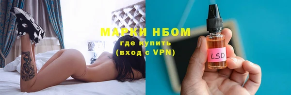 СК Алексин
