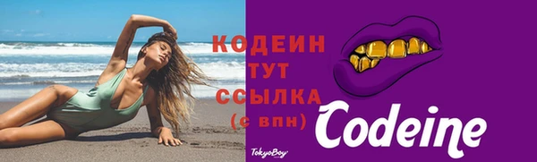 крисы Покачи