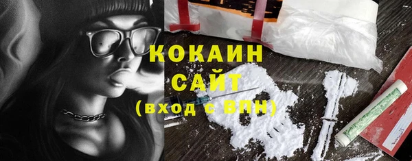 тгк Алзамай