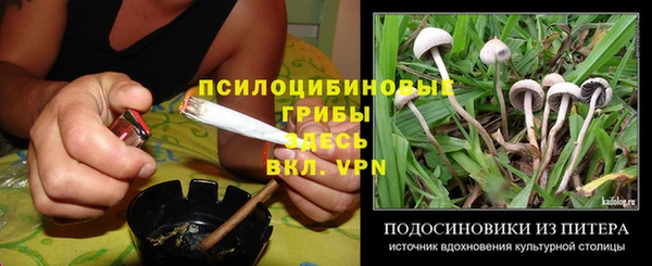 круглые Алексеевка