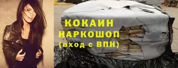 СК Алексин